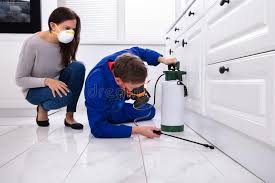 Best Residential Pest Control  in Wellsville, KS