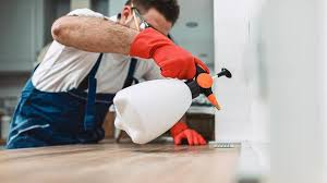 Best Pest Prevention Services  in Wellsville, KS